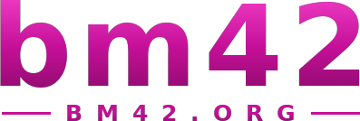 bm42 logo